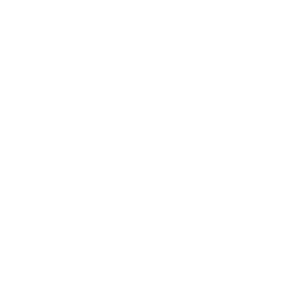 NetApp Cloud Storage Grid Logo