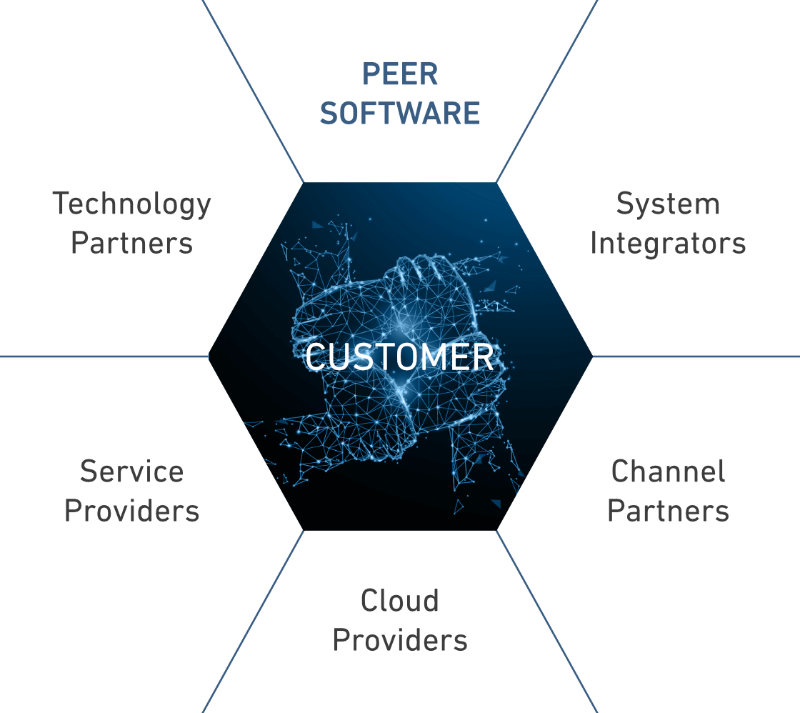 Peer-Partner-Structure-Graphic Peer Software Partner Structure Graphic